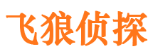 淮阳外遇出轨调查取证